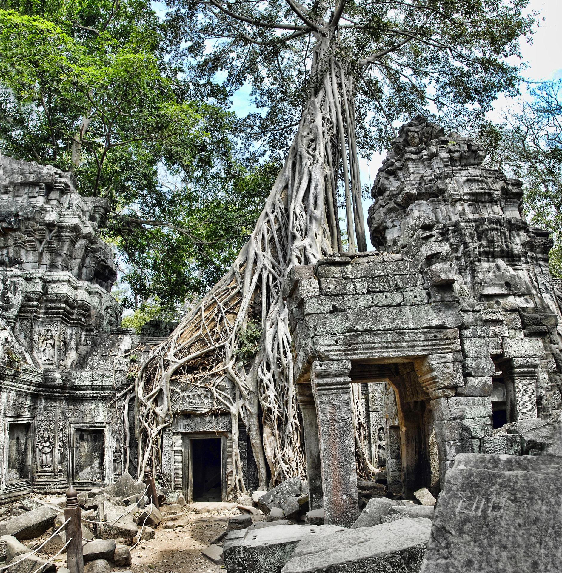 Ta Prohm Tree Roots