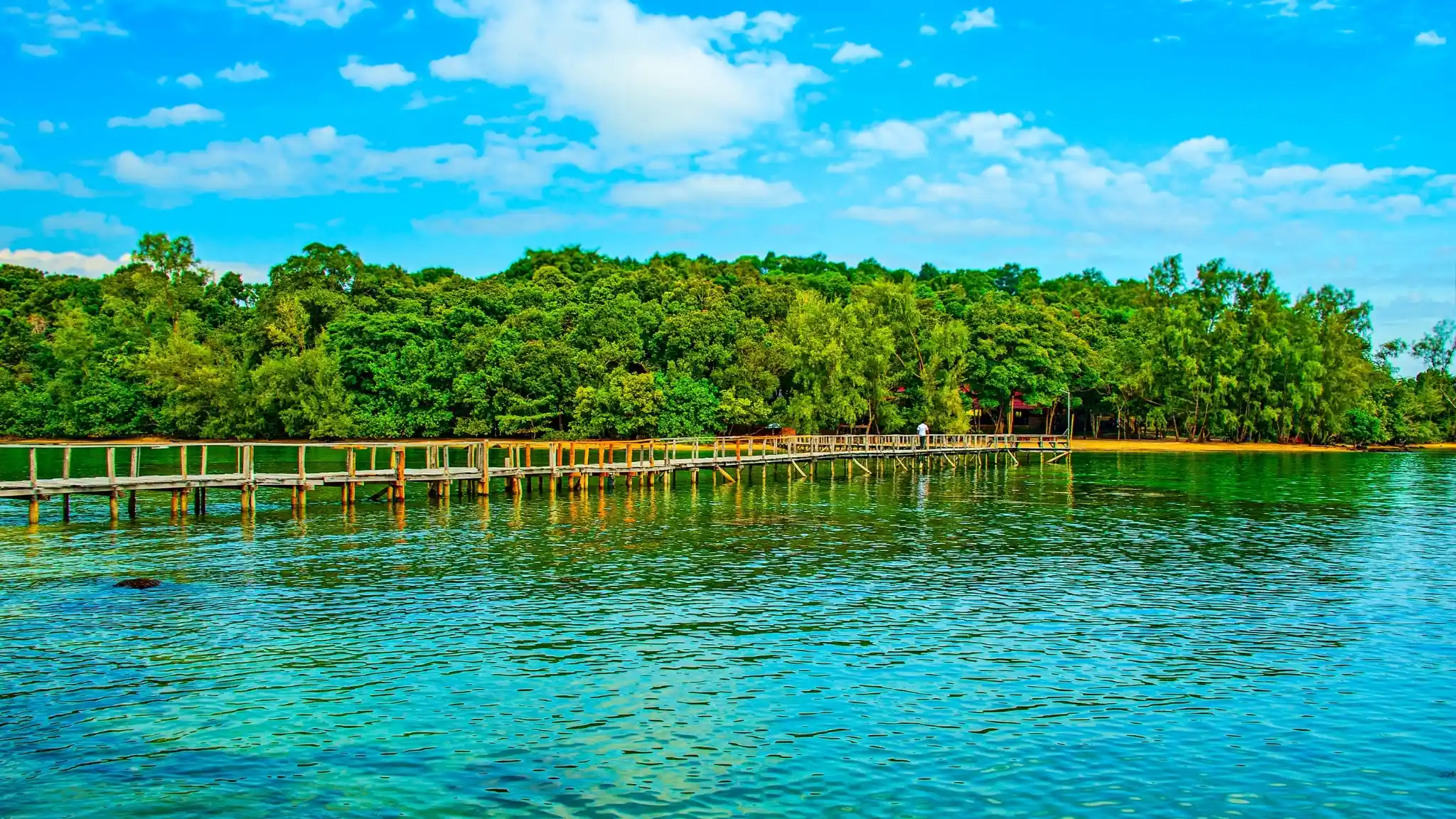 Ream National Park Mangrove Forest Exploration and Coastal Biodiversity Tour